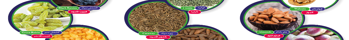 Momtaz Akrami Company