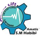 Amatis asansor Construction company